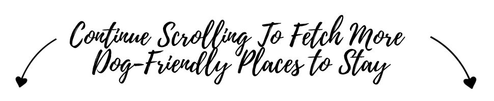 Dog Friendly Places to Stay in South East England
